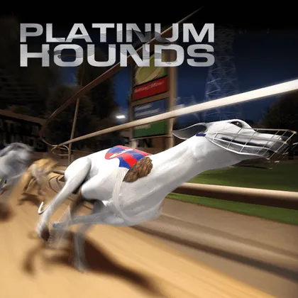 Platinum hounds Platinum hounds